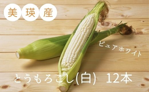 ≪令和７年産予約受付！≫株式会社 おおとり　美瑛産とうもろこし（白）１２本[014-74]