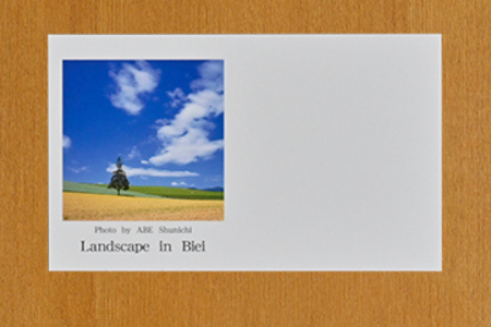 [005-26]写真家　阿部俊一　名刺台紙・メッセージカード100枚(D)