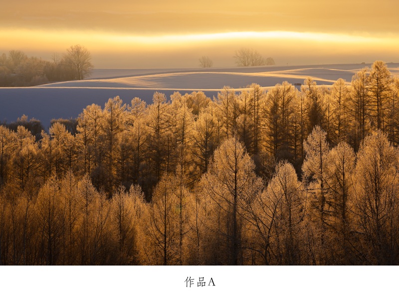 [250-04]写真家　中西敏貴　額付き写真（サイン入り）