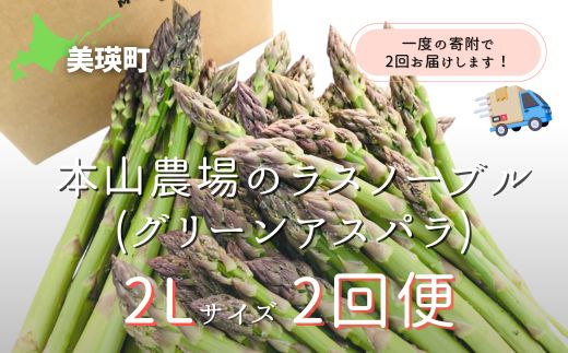 【令和７年産！】美瑛町幻のアスパラ　本山農場のラスノーブル（グリーンアスパラ）2Lサイズ 1kg ≪２回便≫[028-18]