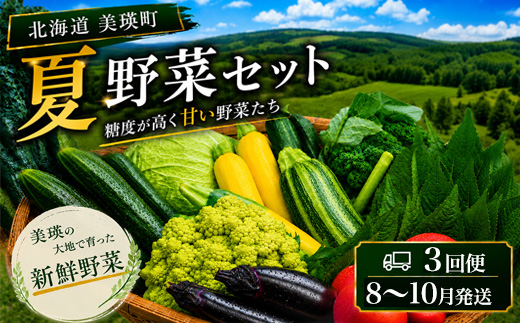 【令和8年産】旬の野菜7～9種の詰め合わせセット 定期便 3回便 8月～10月発送 美景農園