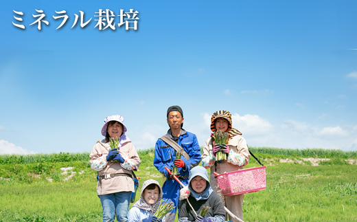 【先行予約！令和8年産】グリーンアスパラ L～Sサイズ 1kg おおとり[014-107]
