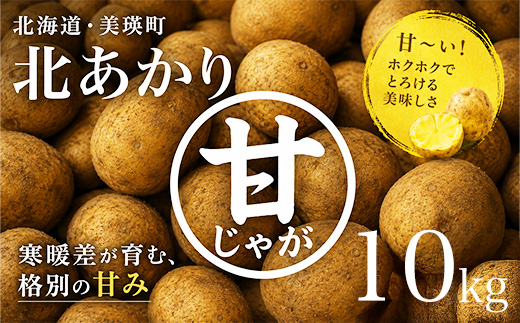 【令和８年産予約受付！】黒木農場　じゃがいも（北あかり）10kg[010-214]