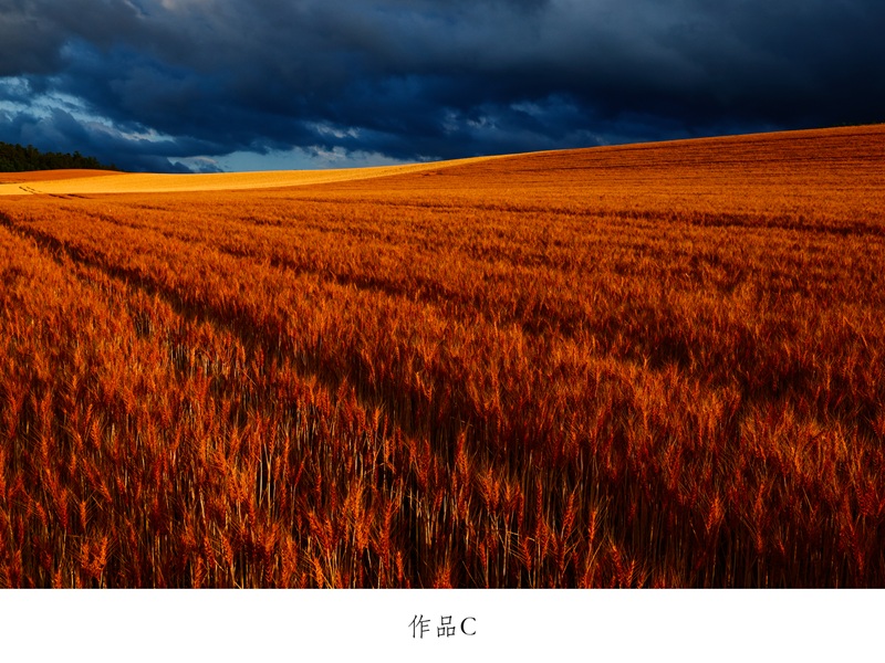 [080-29]写真家　中西敏貴　額付き写真（サイン入り）