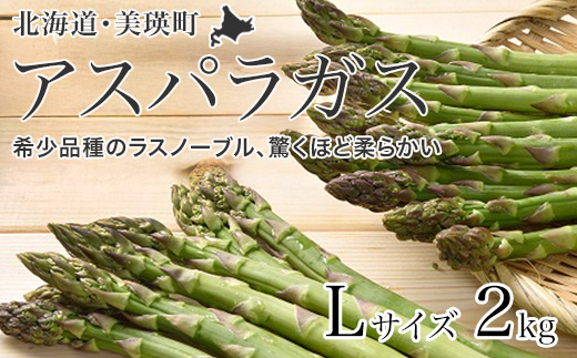 【先行予約！令和8年産】グリーンアスパラ Lサイズ 2kg おおとり[022-46]