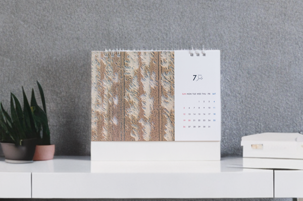  [006-22] 写真家 坪井 智洋 美瑛の風景 2026年卓上カレンダー