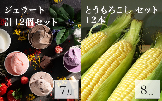 çŸçãªãŒã«ã¹ã¿ãŒ å®æäŸ¿ 12å䟿 åæµ·é
