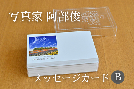[005-06]写真家　阿部俊一　名刺台紙・メッセージカード100枚(B)