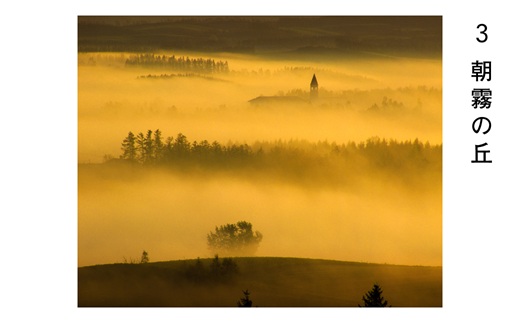 [084-06]前田真三 額付き写真（白木額） 六切サイズ