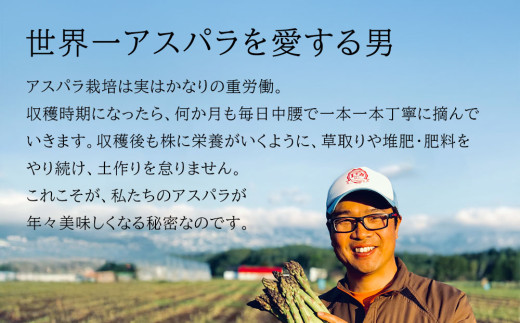【令和8年産先行予約】美瑛町幻のアスパラ　本山農場のラスノーブル（グリーンアスパラ）Lサイズ2kg[022-39]
