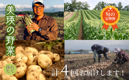 【令和８年産予約受付！】～美瑛の四季～ 野菜の定期便【白樺】4回便