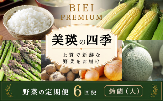 【令和9年産 先行予約】野菜 定期便 6回便 美瑛の四季～鈴蘭（大）～ 美瑛米 アスパラメロン とうもろこし じゃがいも 玉ねぎ