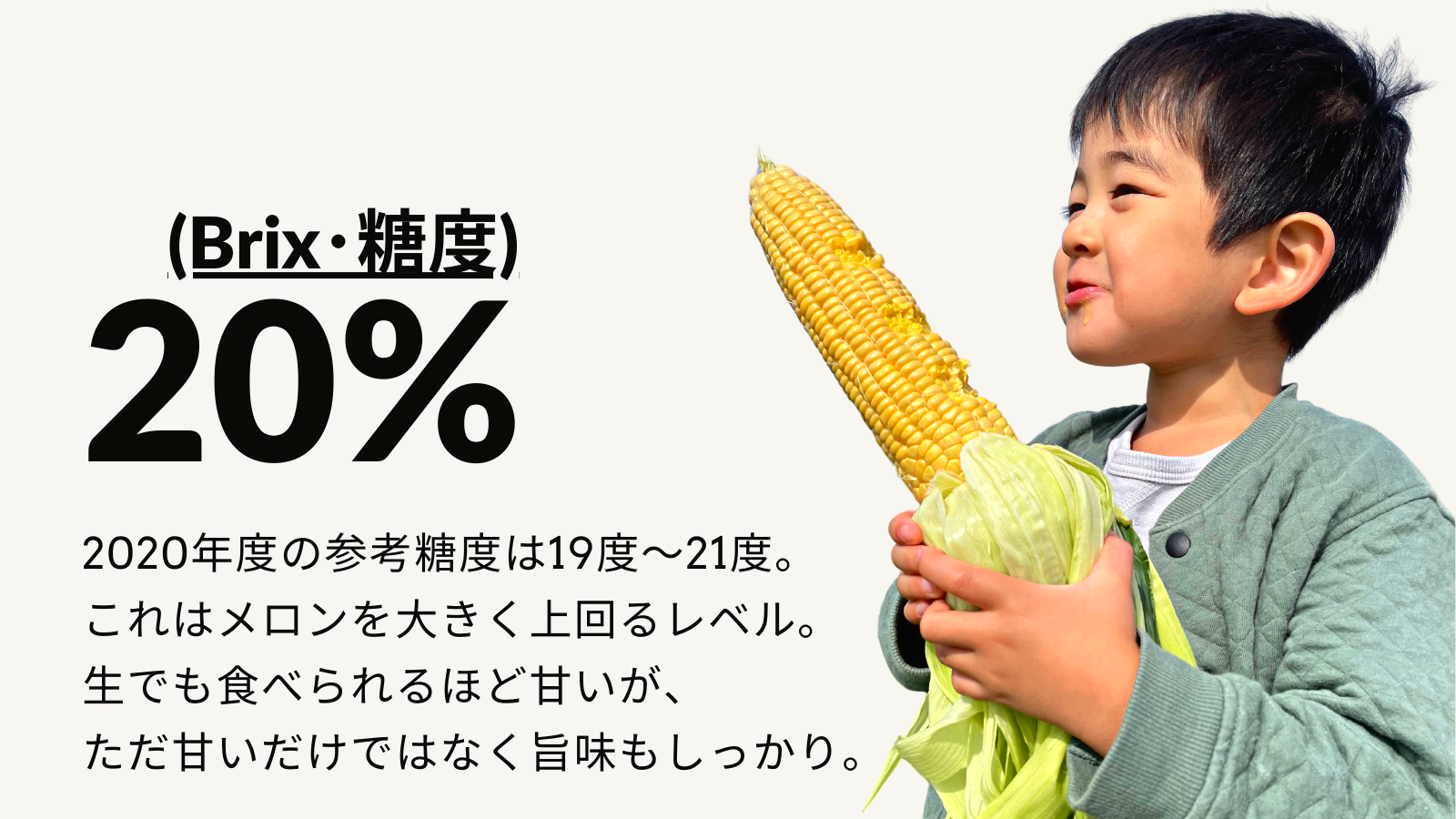 墫乃字　ひとさじ農場の１００日とうきび（朝採れ・農場直送）[014-33]	