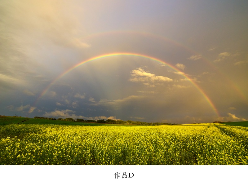 [080-29]写真家　中西敏貴　額付き写真（サイン入り）