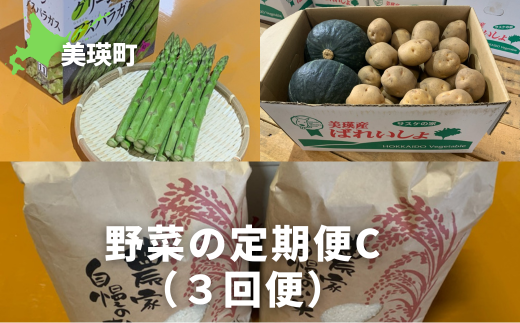 ≪令和７年産予約受付！≫サスケの家　野菜の定期便C（３回便）[049-02]