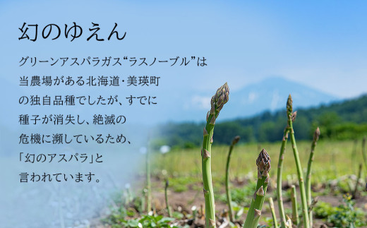 【令和8年産先行予約】【訳あり】幻のアスパラ　本山農場のラスノーブル（グリーンアスパラ）２ｋｇ[019-65]