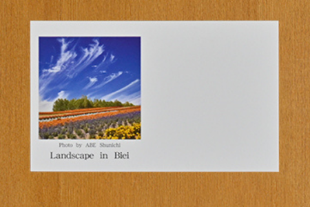 [005-06]写真家　阿部俊一　名刺台紙・メッセージカード100枚(B)