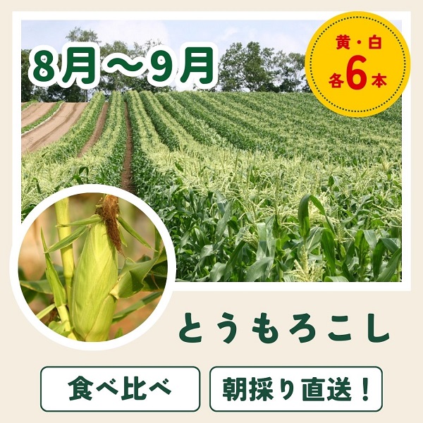 【令和７年産予約受付！】～美瑛の四季～ 野菜の定期便【白樺】4回便[039-04]