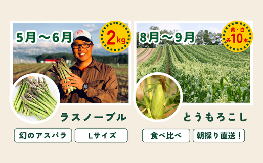 ã什åïŒå¹Žç£äºçŽåä»ïŒãïœçŸçã®åå£ïœ éèã®å®æäŸ¿ãçœæšº(倧)ã4å䟿