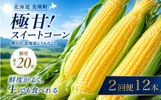 【先行予約】とうもろこし（ほしつぶコーン）12本 定期便 2回 <令和8年産 >黒木農場