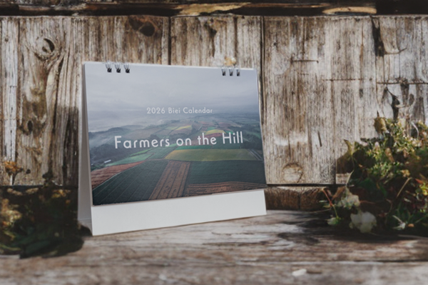  [006-22] 写真家 坪井 智洋 美瑛の風景 2026年卓上カレンダー