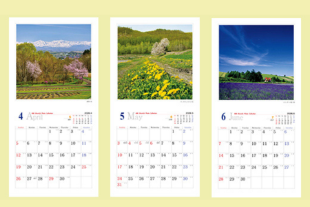 [009-35]　写真家　阿部俊一　2026年壁掛けカレンダー