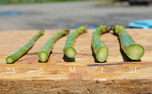 【令和8年産先行予約】 美瑛町幻のアスパラ　本山農場のラスノーブル（グリーンアスパラ）2S～Sサイズ2kg[016-87]