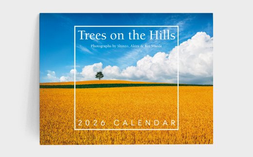 [011-60]2026年拓真館カレンダー『Trees on the Hills』