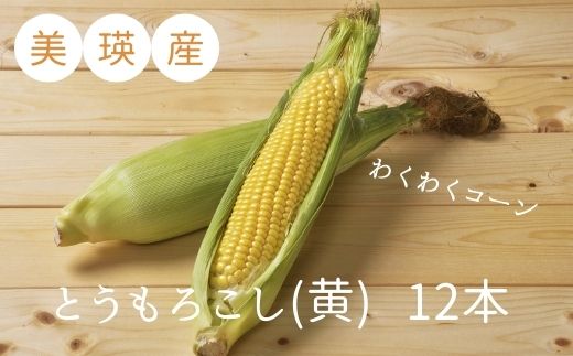 ≪令和７年産予約受付！≫株式会社 おおとり　美瑛産とうもろこし（黄） １２本[014-73]