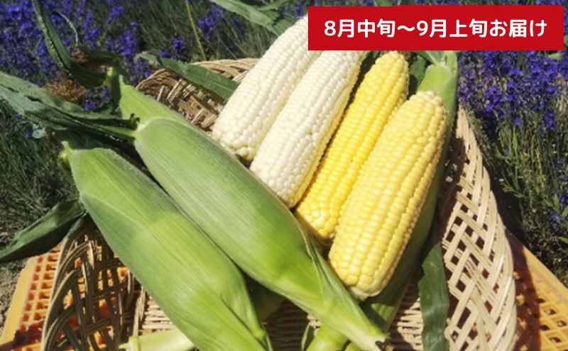 【令和8年産】先行予約 北海道 上富良野 農家スクラム スペシャル 定期便 4回発送 メロン とうもろこし トウモロコシ じゃがいも ジャガイモ かぼちゃ カボチャ お米 ゆめぴりか 果物 フルーツ 野菜 新米 