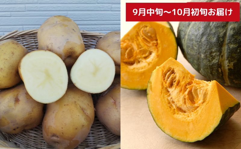 【令和8年産】先行予約 北海道 上富良野 農家スクラム スペシャル 定期便 4回発送 メロン とうもろこし トウモロコシ じゃがいも ジャガイモ かぼちゃ カボチャ お米 ゆめぴりか 果物 フルーツ 野菜 新米 