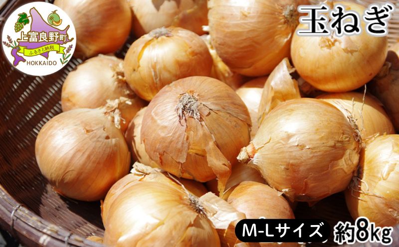 【令和7年産】 先行予約 玉ねぎ 8kg （ M-L サイズ ） 北海道 上富良野産 野菜 たまねぎ オニオン 産地直送 新鮮 旬の野菜