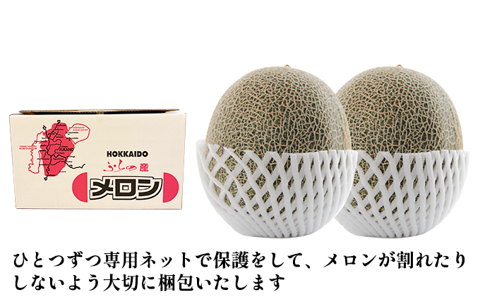 ã什å7幎ç£ãã¡ãã³ 1.6kgïœ1.99kg 2ç åæµ·é äžå¯è¯éç£ æäžççŽ ç§å èµ€èã¡ãã³ ç³åºŠ14åºŠä»¥äž ç³åºŠ14 ã»ãã ããã æç© ãã«ãŒã ãã¶ãŒã ãã ãã® æ¬ã®æç© æ¬ã®ãã«ãŒã åæµ·é å¯è¯é äžå¯è¯éçº