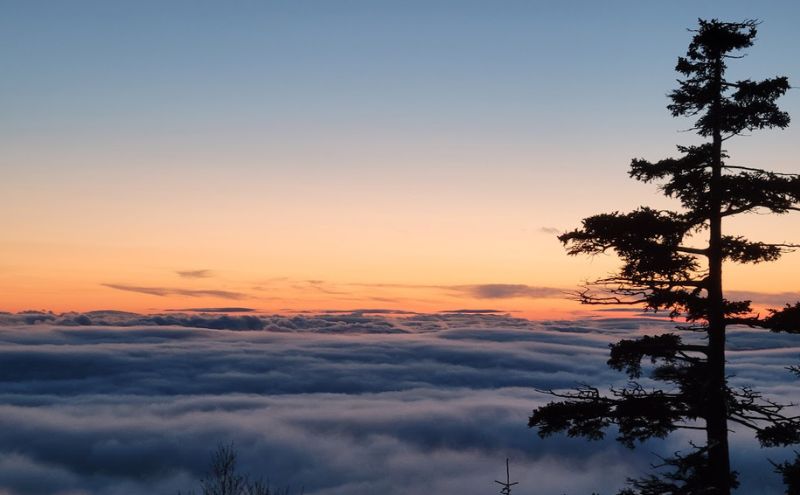 湯元凌雲閣【 1泊2食付 】 宿泊券 ホテル 旅館 旅行 旅行券 チケット 北海道 上富良野町 十勝岳