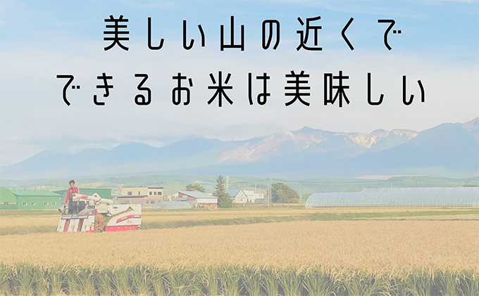 ◆10ヶ月連続定期便◆ななつぼし 無洗米 5kg /北海道 上富良野産 ～It's Our Rice～ 