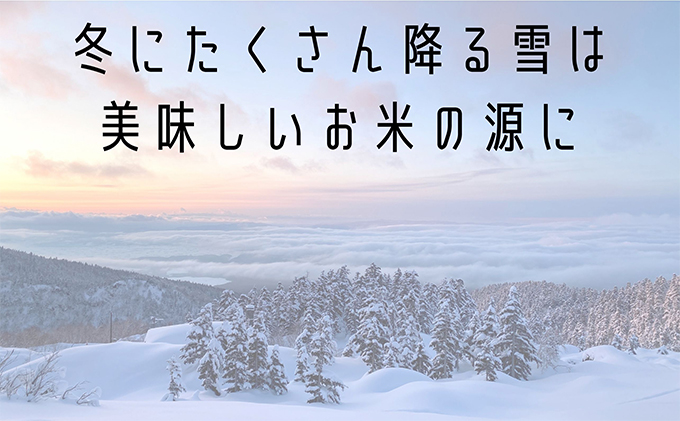 ななつぼし 無洗米 5kg /北海道 上富良野産 ～It's Our Rice～