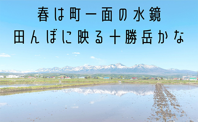 ◆6ヶ月連続定期便◆ななつぼし 精米 5kg /北海道 上富良野産 ～It's Our Rice～ 