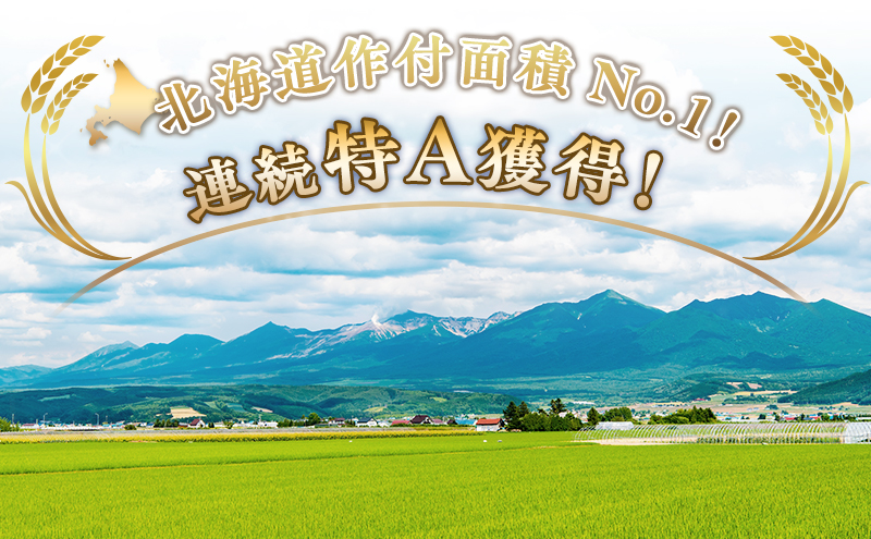【令和8年産】2026年11月から順次出荷 北海道上富良野町産 【ななつぼし】5kg お米 白米 精米 ライス ご飯 ブランド米 銘柄米 お弁当 おにぎり 北海道産  食卓 産 地直送 主食 炭水化物 
