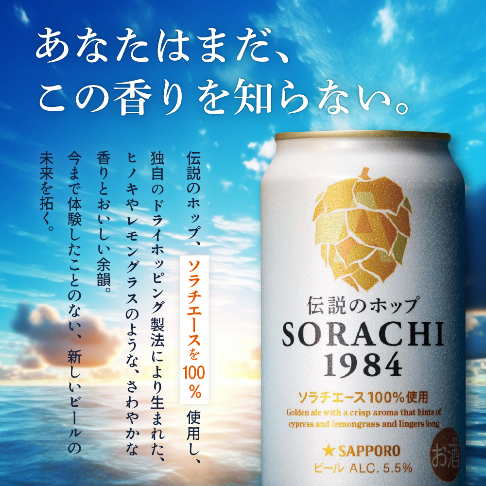 ◆3ヵ月連続お届け定期便◆SORACHI 1984 1箱（350ml×12缶） 株式会社 ヤマイチ 北海道 上富良野町 ソラチ1984 お酒 酒 飲み物 ビール 地ビール