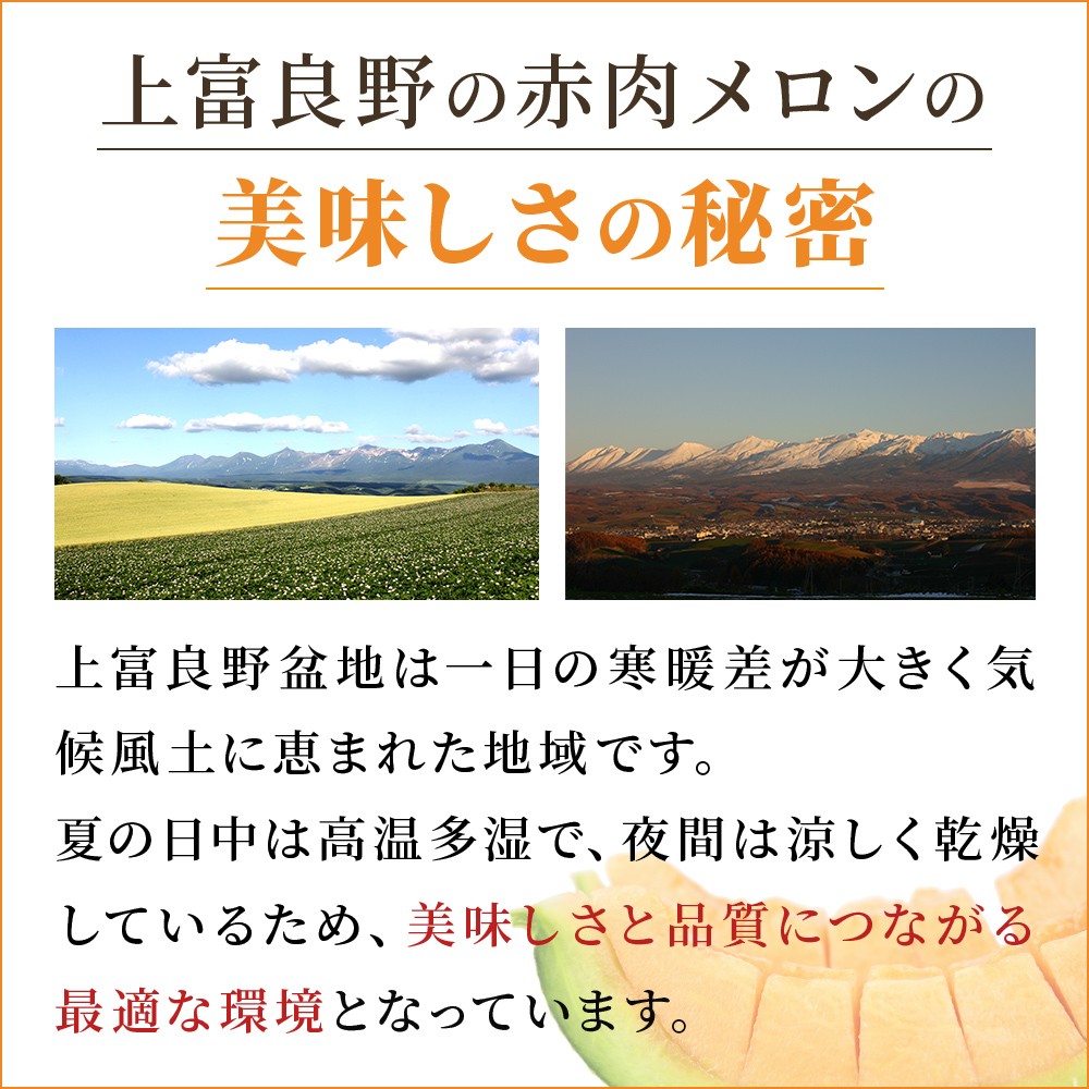 【 2025年発送 先行予約 】ふらの 赤肉メロン 厳選 秀品 Mサイズ 1.3kg～1.6kg 2玉 セット ファーム富良野 メロン めろん 果物 くだもの フルーツ 富良野 デザート 北海道