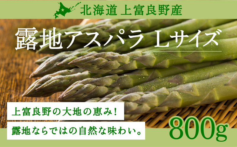 【令和8年産】先行予約 北海道 上富良野産 露地 グリーン アスパラガス Lサイズ 800g アスパラ グリーンアスパラ 上富良野町 野菜 やさい