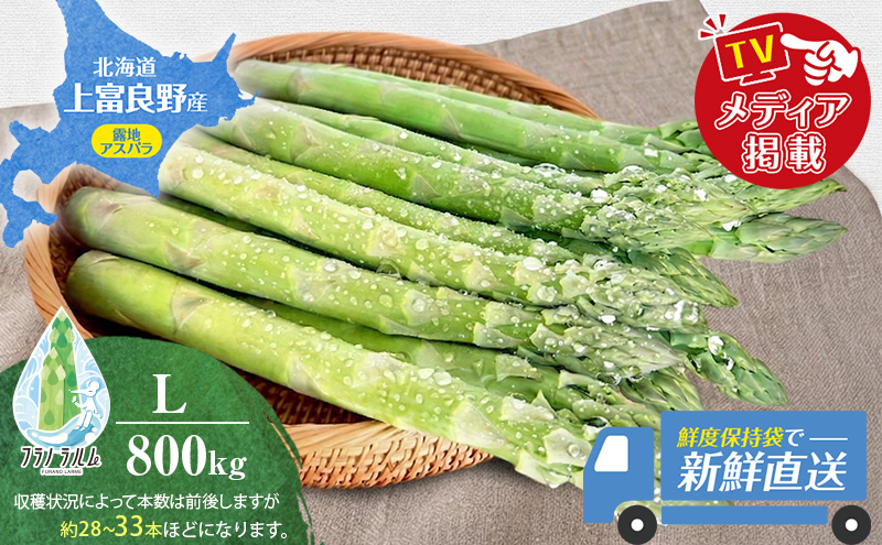 【令和8年産】 〔メディア掲載されました〕 露地 グリーン アスパラガス L 800g 春アスパラ 野菜 旬 新鮮 産地直送 甘い お取り寄せ グルメ 高評価 限定 北海道 上富良野産