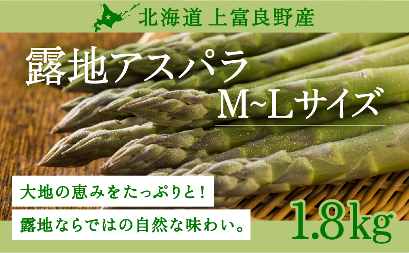 【令和8年産】先行予約 北海道 上富良野産 露地 グリーン アスパラガス L,Mサイズ 1.8kg アスパラ グリーンアスパラ 上富良野町 野菜 やさい