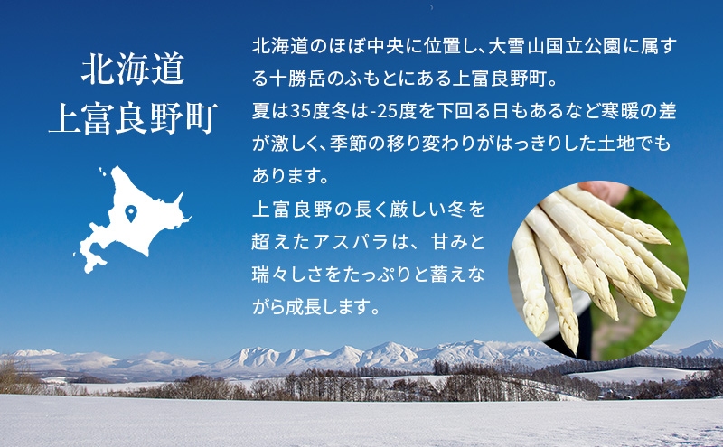 【令和8年産】 〔メディア掲載されました〕 露地 グリーン アスパラガス L 800g 春アスパラ 野菜 旬 新鮮 産地直送 甘い お取り寄せ グルメ 高評価 限定 北海道 上富良野産 