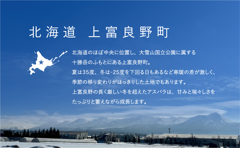 【令和8年産】先行予約 北海道 上富良野産 露地 グリーン アスパラガス Lサイズ 800g アスパラ グリーンアスパラ 上富良野町 野菜 やさい 