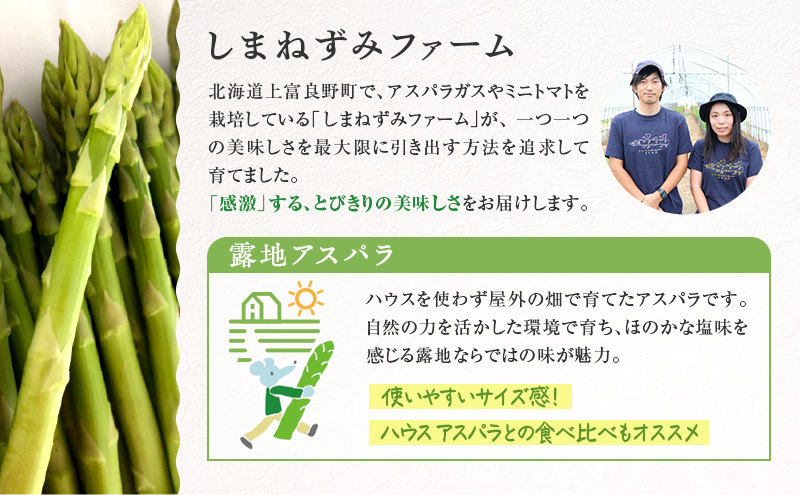 【令和8年産】 〔メディア掲載されました〕 露地 グリーン アスパラガス L 800g 春アスパラ 野菜 旬 新鮮 産地直送 甘い お取り寄せ グルメ 高評価 限定 北海道 上富良野産 