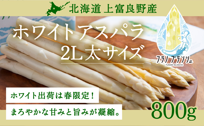 【令和8年産】先行予約  北海道 上富良野産 ホワイトアスパラガス 2L サイズ 800g アスパラ ホワイト アスパラガス 上富良野町 野菜 やさい