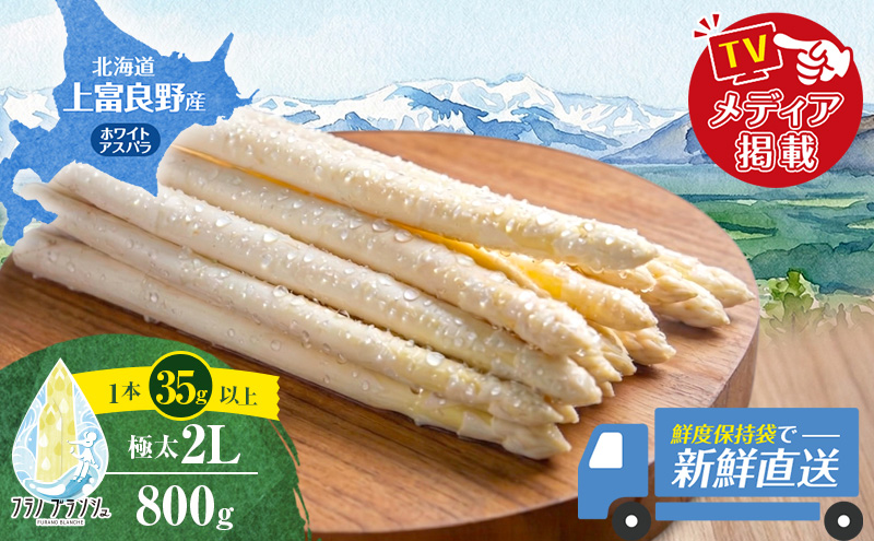 【令和8年産】 〔メディア掲載されました〕 ホワイト アスパラガス 2L 800g 春アスパラ 野菜 旬 新鮮 産地直送 甘い 極太 お取り寄せ グルメ 高評価 限定 北海道 上富良野産
