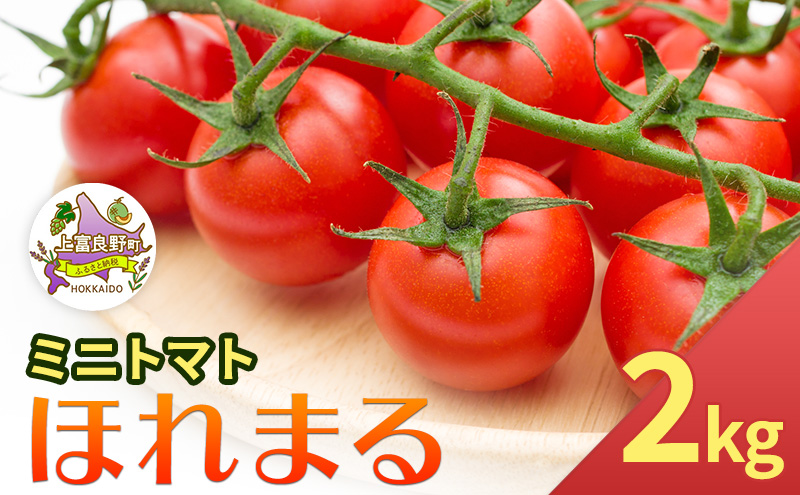 【令和8年産】 もぎたてミニトマト【ほれまる】2kg≪北海道上富良野産≫ 野菜 鮮やかな 赤色 果肉 酸味 甘み バランス 食べやすい 日持ち 冷蔵庫 保存 1週間