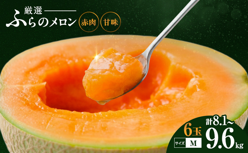 【令和8年産】ふらの 赤肉メロン 厳選 甘味 Mサイズ 1.35kg～1.6kg 6玉 セット ファーム富良野 メロン めろん 富良野メロン 果物 くだもの フルーツ 富良野 デザート 北海道 先行受付 北海道上富良野町